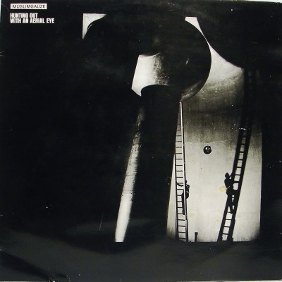 Muslimgauze - Hunting Out with an Aerial Eye (Album, Winyl, 12