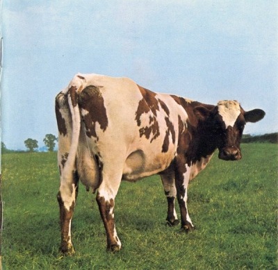 Pink Floyd - Atom Heart Mother (Album, 1970): oprawa graficzna przedniej okładki