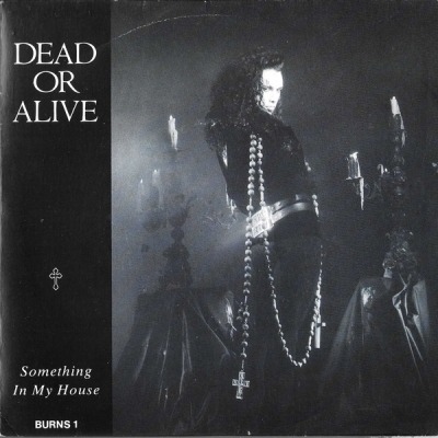 Dead Or Alive - Something In My House (Singiel, 1986): oprawa graficzna przedniej okładki