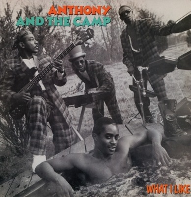 What I Like - Anthony And The Camp (Singiel, Winyl, 12", 45 RPM, ℗ © 1986 Stany Zjednoczone, Warner Bros. Records #0-20449) - przód główny
