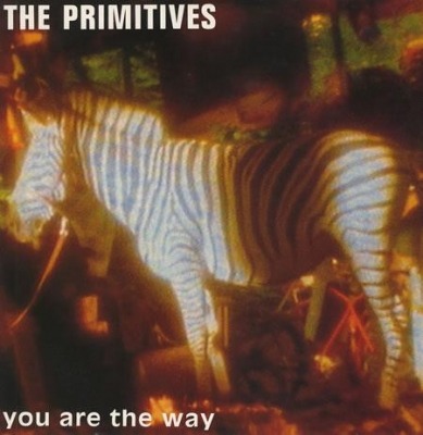 You Are The Way - The Primitives (Winyl, 12", Singiel, 45 RPM, ℗ © 22 Lip 1991 Wielka Brytania, RCA #PT 44482) - przód główny