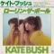 Kate Bush = ケイト・ブッシュ - ローリン・ザ・ボール = Them Heavy People
